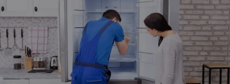 Ремонт холодильников DOMETIC